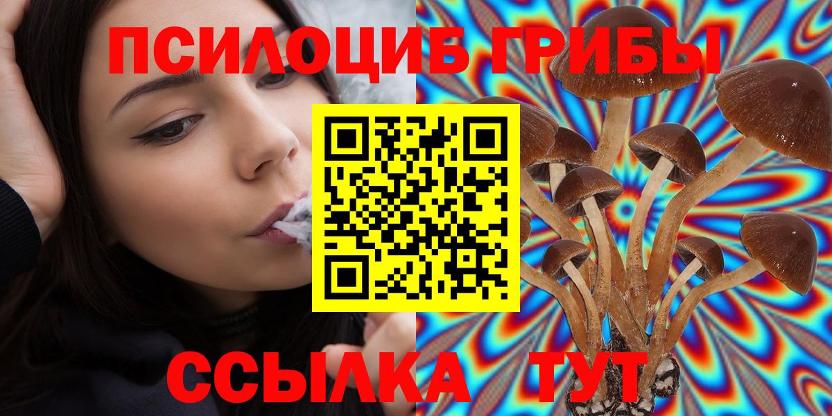 Псилоцибиновые грибы MAGIC MUSHROOMS  Галлюциногенные грибы Cubensis  Вход с VPN  цена   Шадринск 